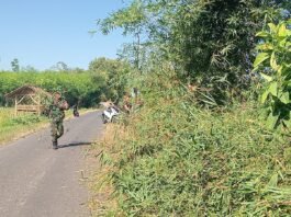 Bukan Sekadar Bersih-Bersih, Babinsa Sukosari Bangun Kebersamaan Lewat Kerja Bakti